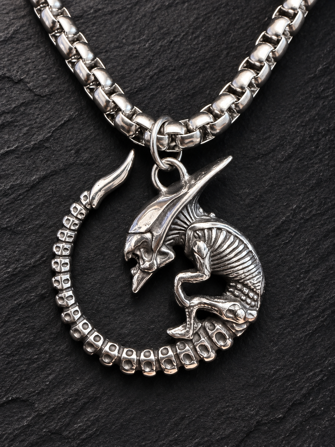 Collier Alien enroulé et chaîne argentée — gros plan sur ardoise noire